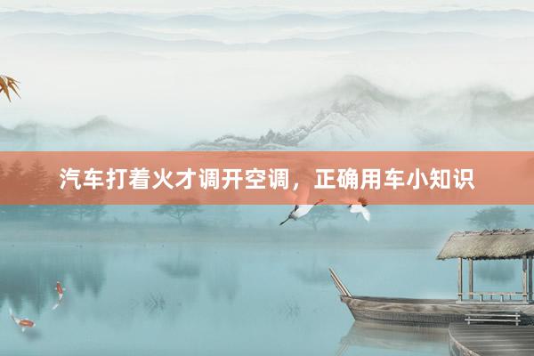 汽车打着火才调开空调，正确用车小知识
