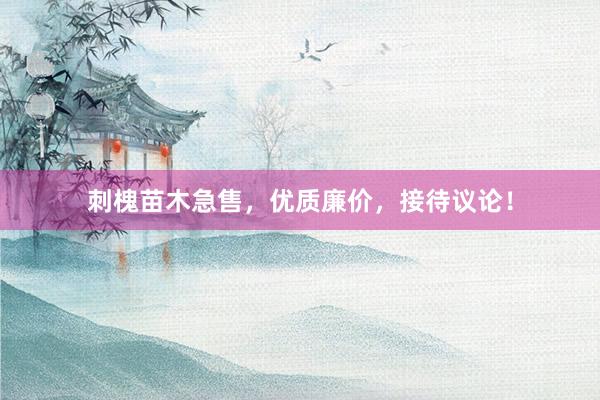 刺槐苗木急售，优质廉价，接待议论！