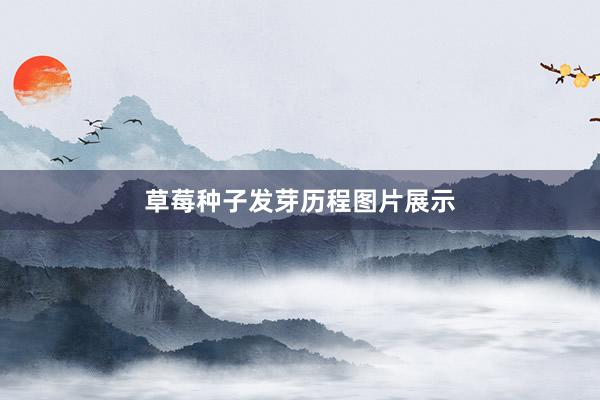 草莓种子发芽历程图片展示